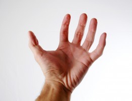 Характеристика большого пальца
